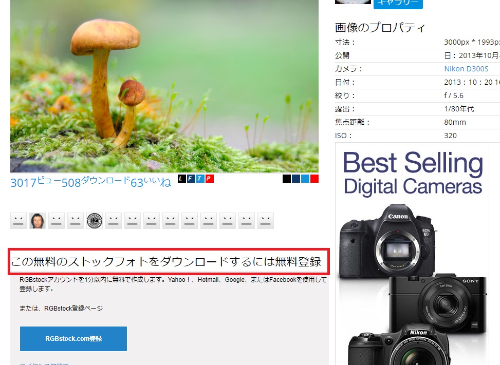 全サイト網羅 年フリー素材画像海外サイト４５選 本当は教えたくない無料素材サイト 季語ネタ情報局