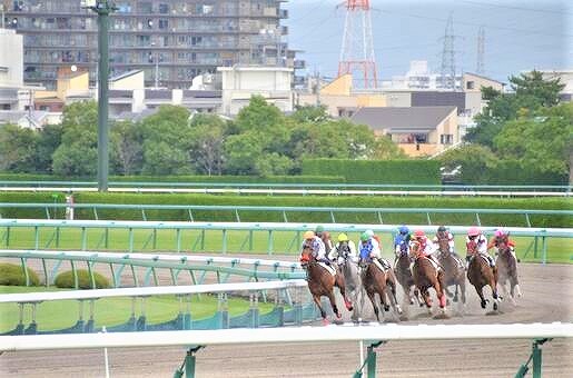 競馬の画像です